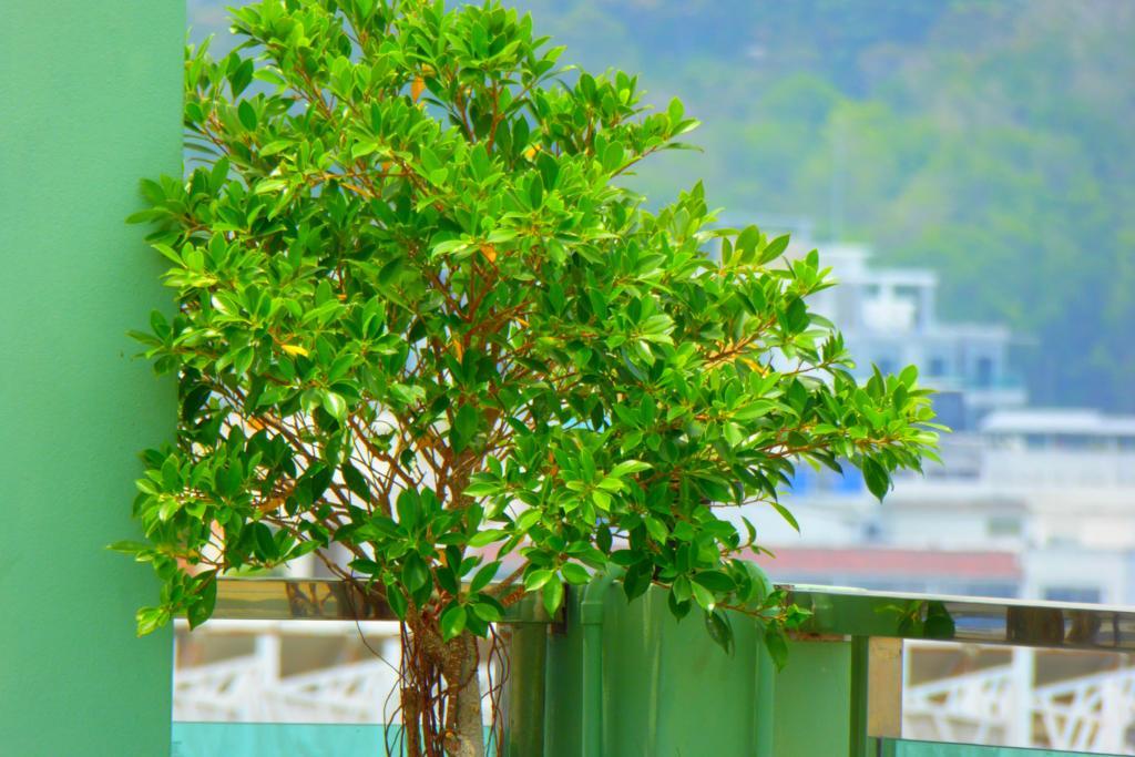 Add Plus Hotel & Spa Patong Dış mekan fotoğraf